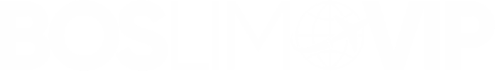 Alt Text: Boston Limo VIP logo – trusted private ride service for families, executives, and frequent flyers